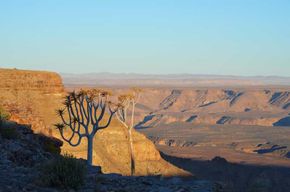 Windhoek : visite guidée de 3 jours du canyon de Fish River et de Quiver Tree