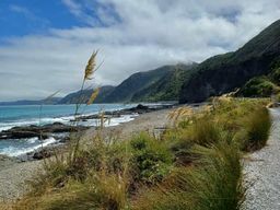 Kaikōura : excursion en petit groupe (baleines, dauphins, tyrolienne)