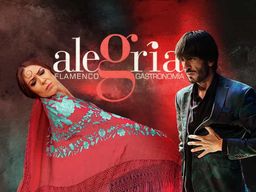 Malaga : spectacle de flamenco en direct au Flamenco Alegría