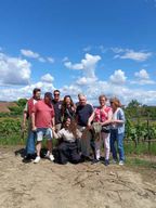 Porto : visite de la vallée du Douro avec 2 caves, déjeuner et croisière