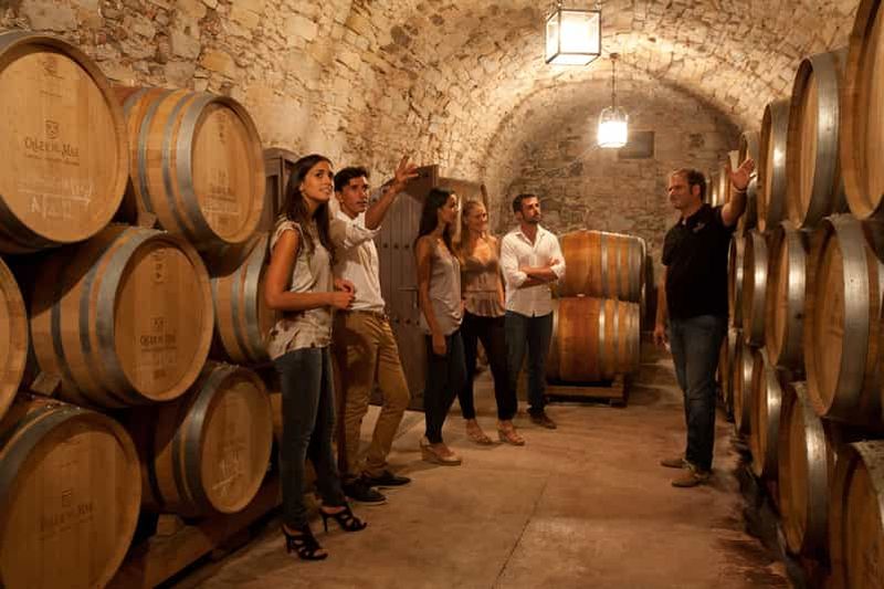 Visite du vin Albariño : Dégustez, apprenez et repartez avec un cadeau spécial