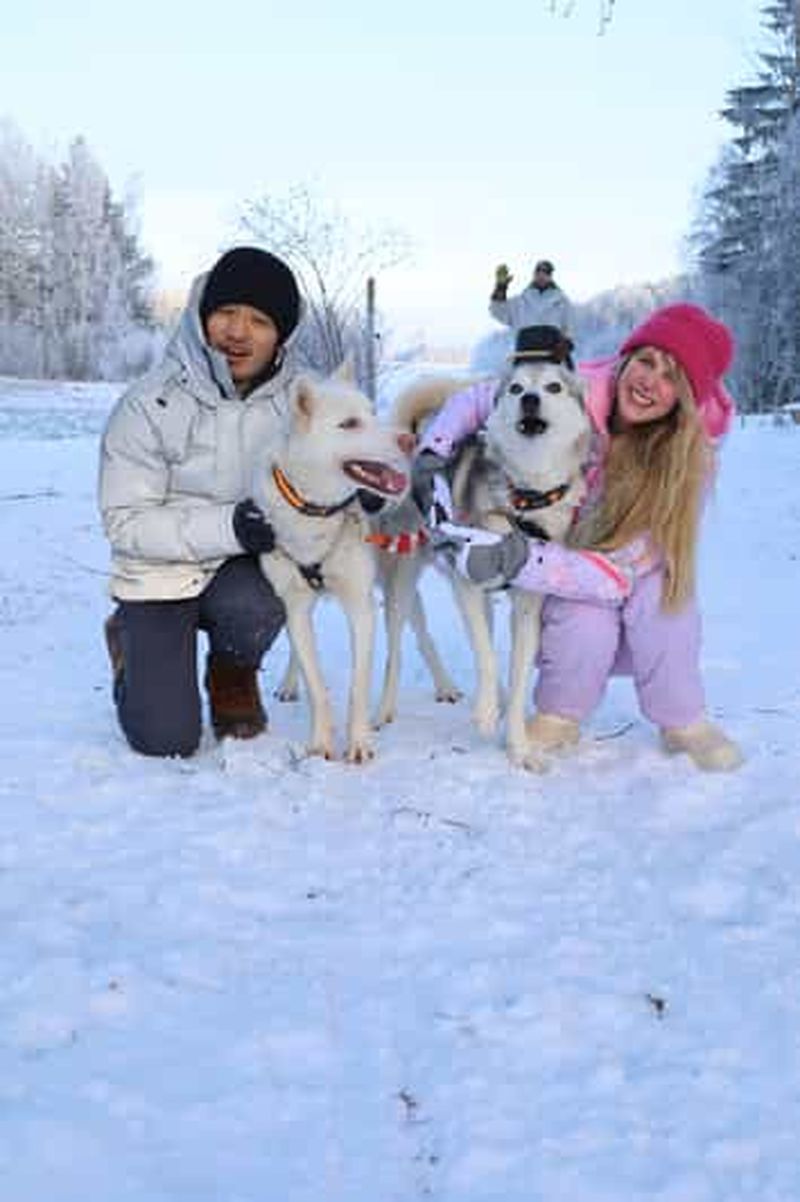 Lappeenranta : visite d'une ferme de huskies, promenade en traîneau à huskies et tipi