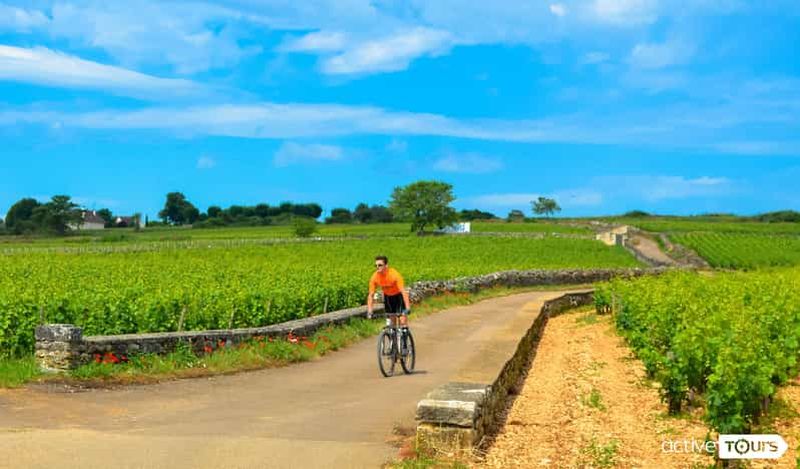 Beaune : Visite des vignobles à vélo avec dégustation de vins