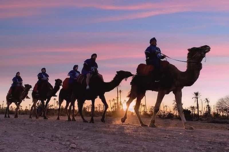 Agadir : Balade à dos de chameau Trek avec thé à la menthe