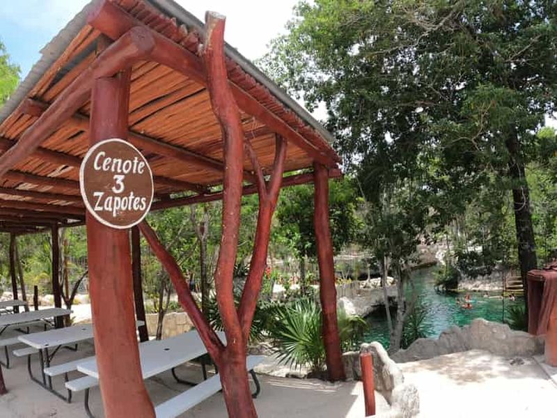 Visite guidée des cénotes Casa Tortuga avec billet d'entrée de base