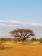 Nairobi : lac Elementaita et randonnée au Guerrier Endormi