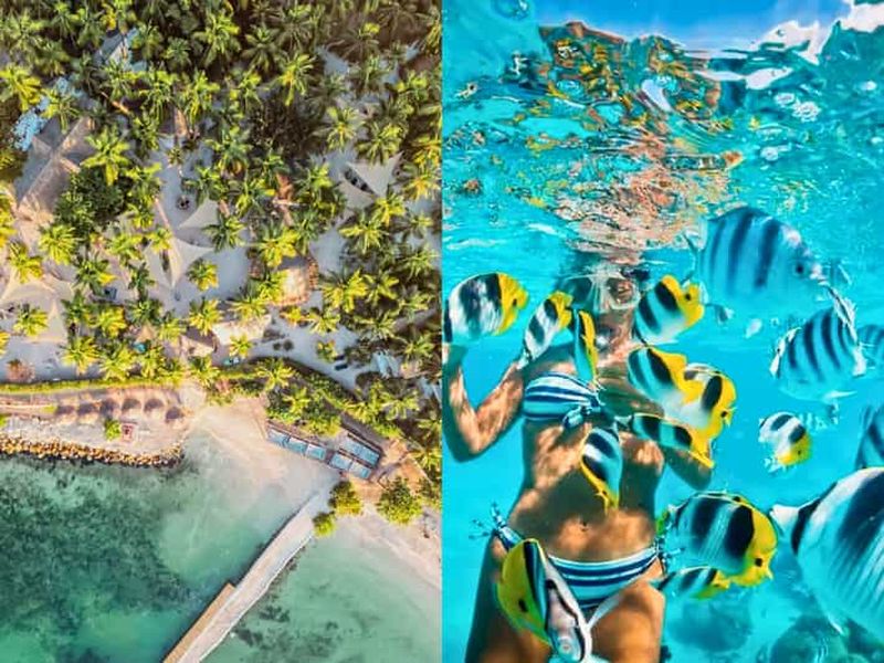 Carthagène des Indes : 5 temps forts des îles du Rosaire avec déjeuner