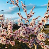 Aix-en-Provence: visite guidée des Jardins du Roy et du Musée du Calisson