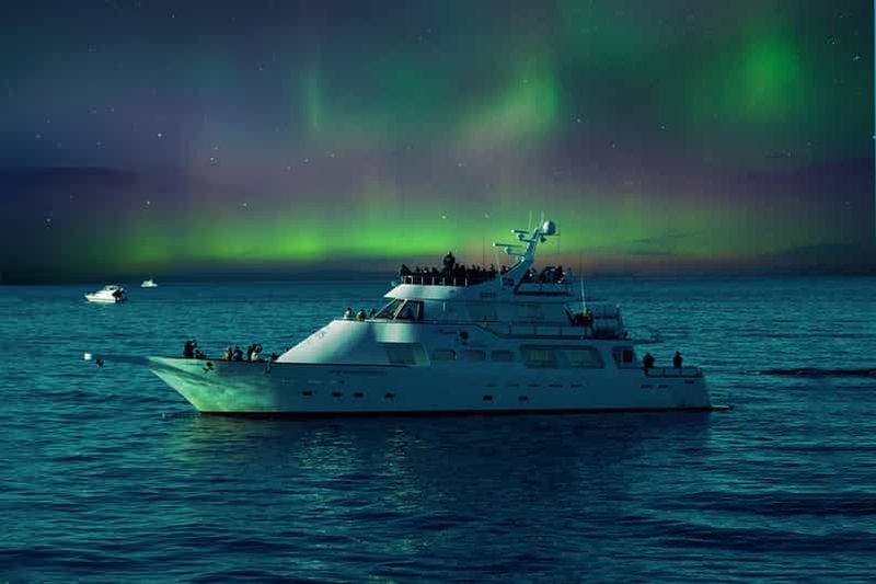 Reykjavik : Excursion en yacht à la recherche d'aurores boréales