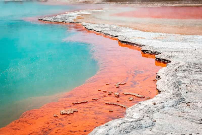 Rotorua : billet d'entrée au parc géothermique de Wai-O-Tapu