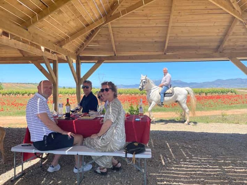 Boutique Rioja Wine Tour avec déjeuner de charme (depuis Bilbao)