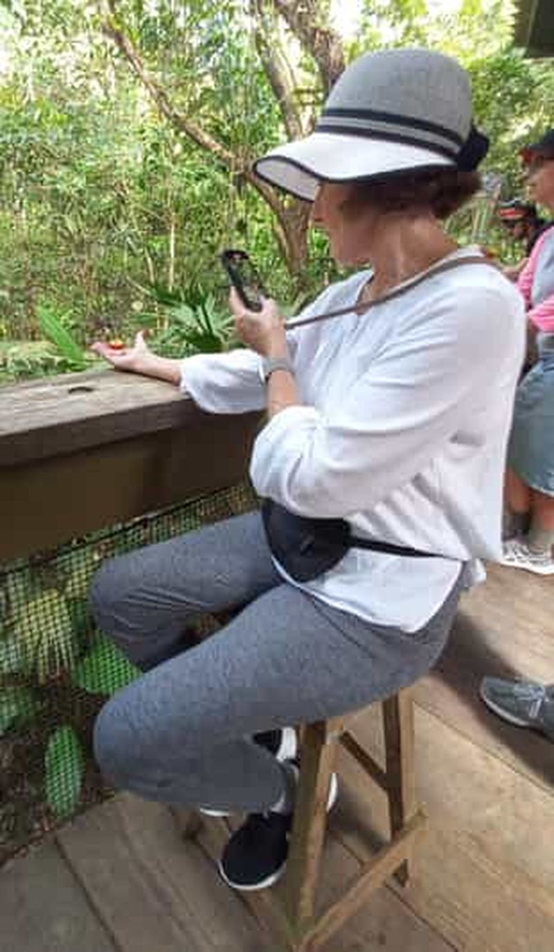 Panama City : Randonnée dans le parc national de Soberania