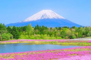 Depuis Tokyo : Excursion d'une journée au Mont Fuji 5ème, Oshino Hakkai, Onsen