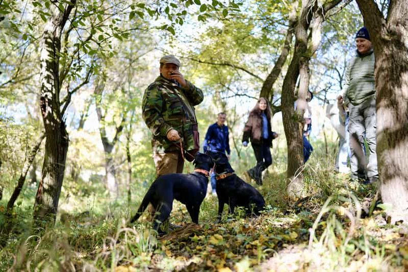 Chasse à la truffe noire, foie gras et vins, avec prise en charge à Budapest.
