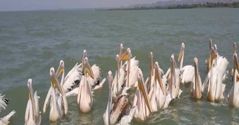 2 jours de visite du lac Tana et des chutes d'eau du Nil Bleu