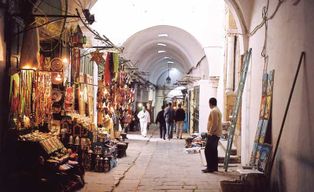 Hammamet : Médina de Tunis, Bardo, Carthage et Bousaid, avec déjeuner inclus