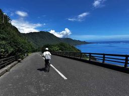 Yakushima : location de vélo électrique (prise en charge et retour inclus)