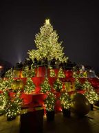 Vilnius : visite de la vieille ville et des traditions de Noël locales