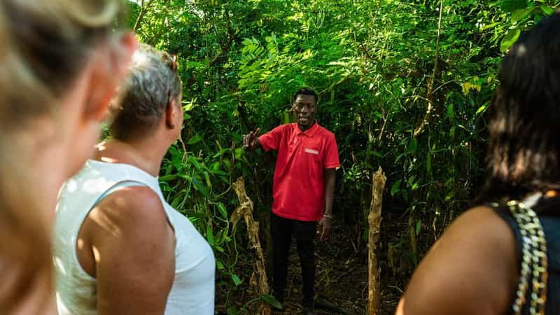 Zanzibar : Stone Town, cours de cuisine et visite d'une plantation d'épices