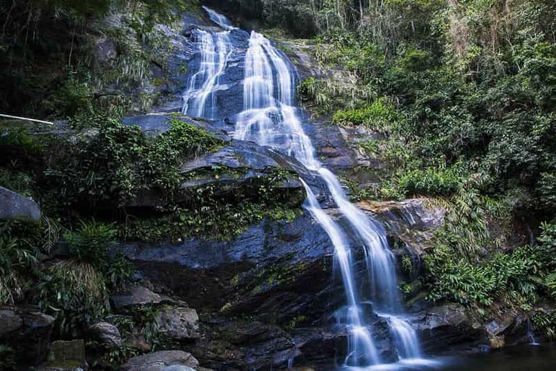 Rio de Janeiro : Visite guidée du jardin botanique et de la forêt de Tijuca