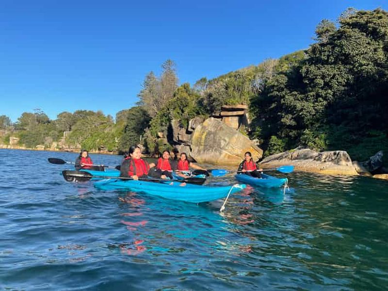 Sydney : Visite guidée en kayak des plages de Manly Cove
