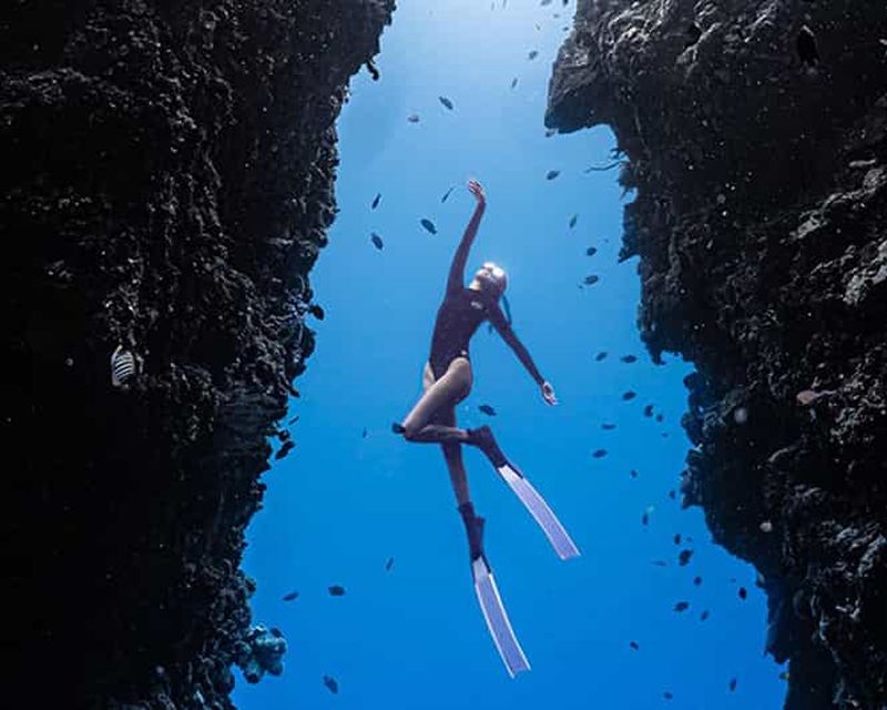 Panglao : Plongée en apnée sur le récif de Napaling et les sardines