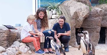 Billet pour l'Océanarium de Bournemouth