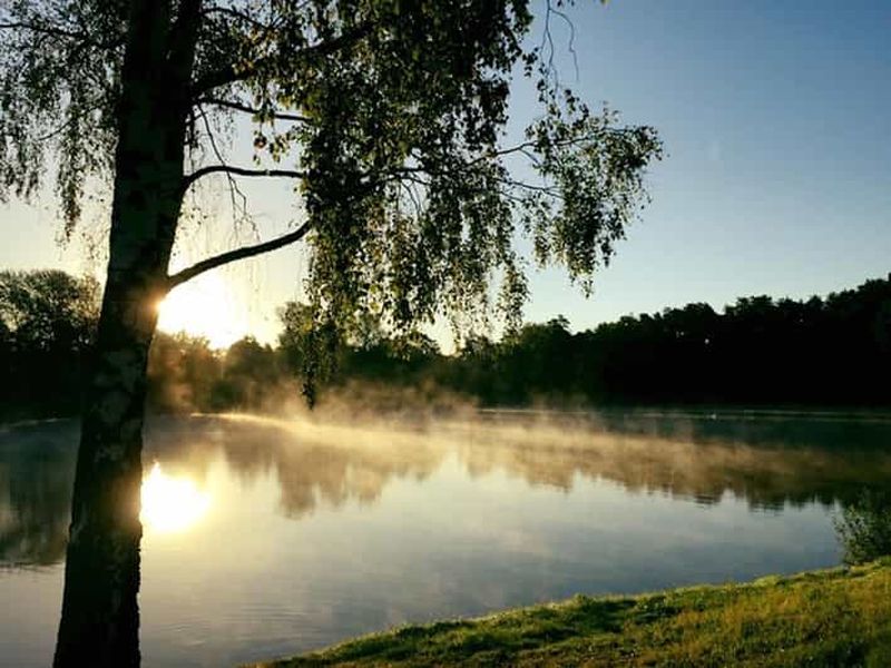 Au départ de Vilnius : Visite du parc Druskininkai et Grutas avec transfert