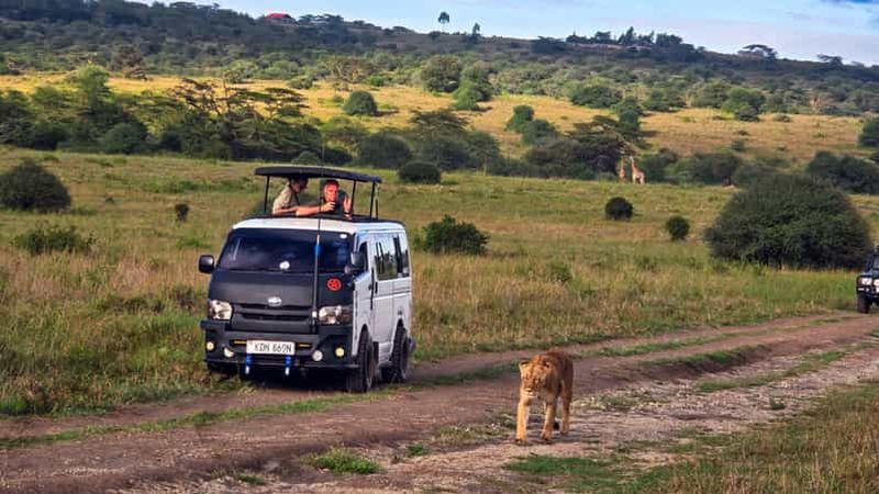 Safari guidé de 5 heures en 4x4 au parc national de Nairobi, prise en charge gratuite