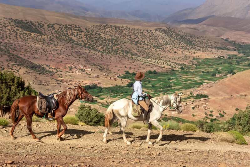 Marrakech : Excursion à cheval dans les montagnes de l'Atlas et journée spa