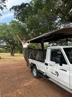 Parc national de Chobe : 3 heures de safari en voiture