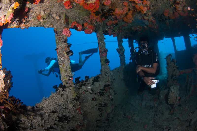 Maldives : Plongée sous-marine sur l'épave de Victory
