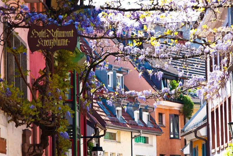 Fribourg : Gässle, Bächle et autres visites de la ville