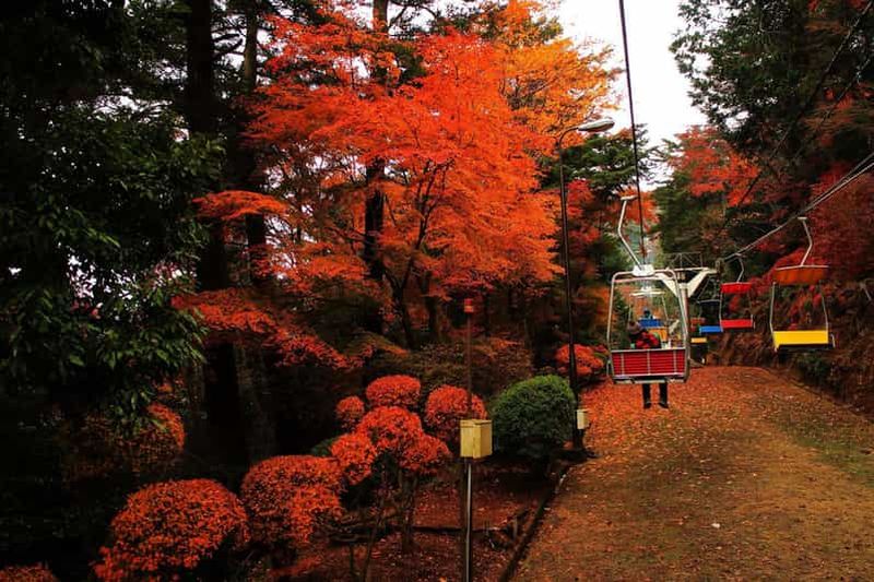 Tokyo : excursion au mont Takao avec ramen et source thermale acceptant les tatouages