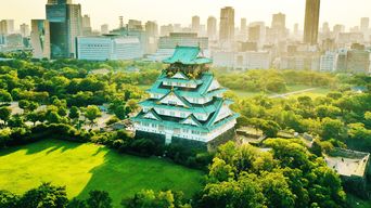 Osaka : visite à pied de l'histoire du château / entrée à la tour du château