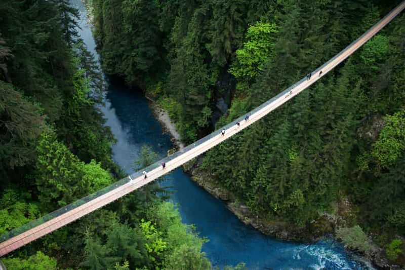 Vancouver : Billet pour le parc du pont suspendu de Capilano