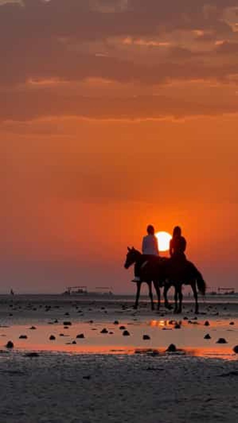Randonnée à cheval à Muscat | Randonnée à cheval sur la plage