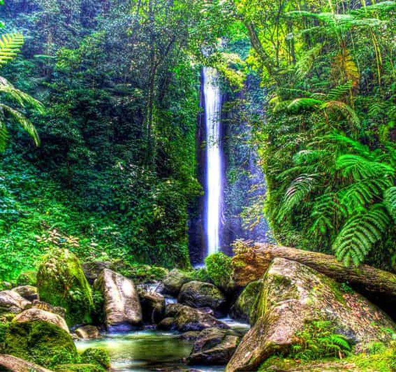 Dumaguete : excursion d'une journée au camp forestier et aux chutes de Casaroro
