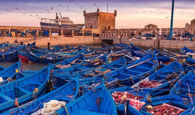 Au départ de Marrakech : excursion d'une journée en petit groupe à Essaouira et Sekkala