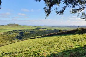 Île de Terceira : randonnée Passagem das Bestas avec dégustation de fromages