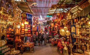 Djerba Express : L’Essentiel de l’Île en Demi-Journée