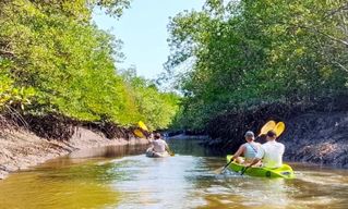 Ko Lanta : kayak dans la mangrove et vieille ville