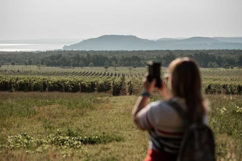 Balatonfüred : randonnée automnale dans les vignobles avec dégustation de vins