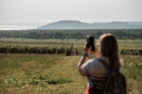 Balatonfüred : randonnée automnale dans les vignobles avec dégustation de vins