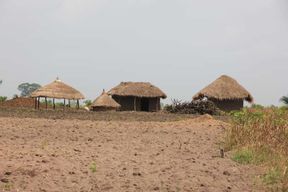 Safari aventure au Togo 7 jours - 6 nuits