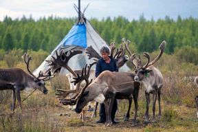 Mongolie : la tribu Tsaatan et le lac Khövsgöl (8 jours)
