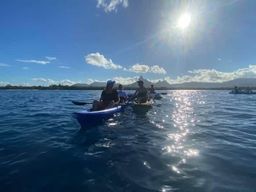 Maurice : excursion en kayak pour observer les dauphins dans la baie de Tamarin