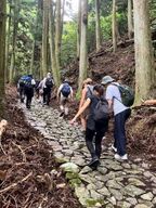 Kumano Kodo : randonnée au col de Shishigase et visite des sources chaudes