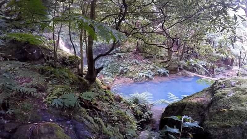 Lagoa do Fogo : visite géologique du volcan guidée par un biologiste + sources chaudes