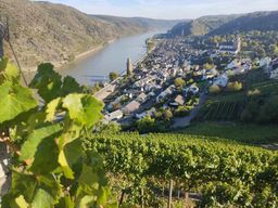 Visite privée de la vallée du Rhin avec croisière fluviale et dégustation de vins